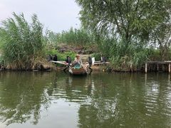 -白洋淀景区