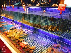 水产区-必点海鲜·鲅鱼水饺(鞍山西道店)