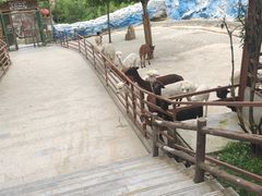 -栾川竹海野生动物园