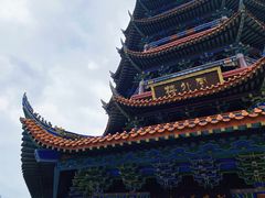 -铁山坪森林公园