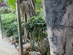-深圳香格里拉酒店
