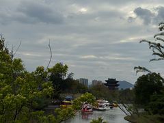-江心屿景区