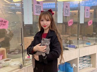 超可爱的猫猫狗狗一次get√