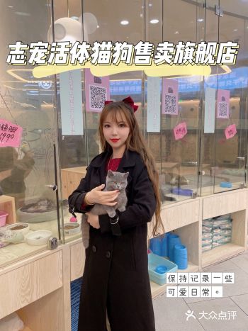 超可爱的猫猫狗狗一次get√