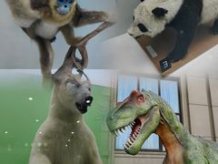 -国家自然博物馆