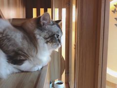 -白兔子密室(长寿路店)