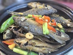 煎焗禾花鱼-山坑河鲜(昆仲楼店)