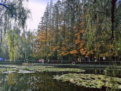 -八大关景区