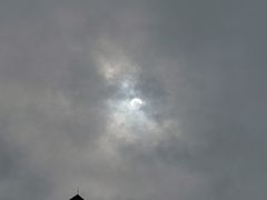 -匠岳·王宝器麻椒鱼(会展中心店)