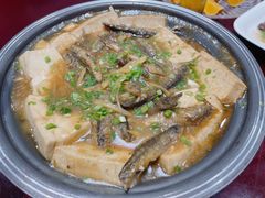 溪鱼焖豆腐-鹭岛新泉客家菜·海鲜·融合菜(莲前店)