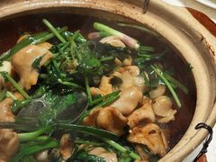 -大鸽饭(岗顶店)