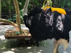 -亚龙湾热带天堂森林公园