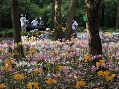 -杭州植物园