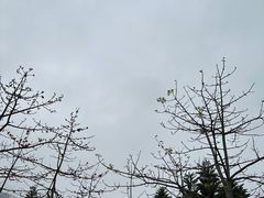-深圳湾公园(南山区)