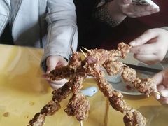 -素虎小呆鸟(西二旗店)