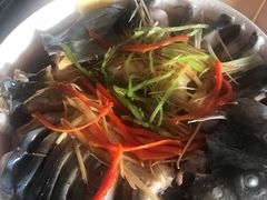 -煲来饱去冷水鱼