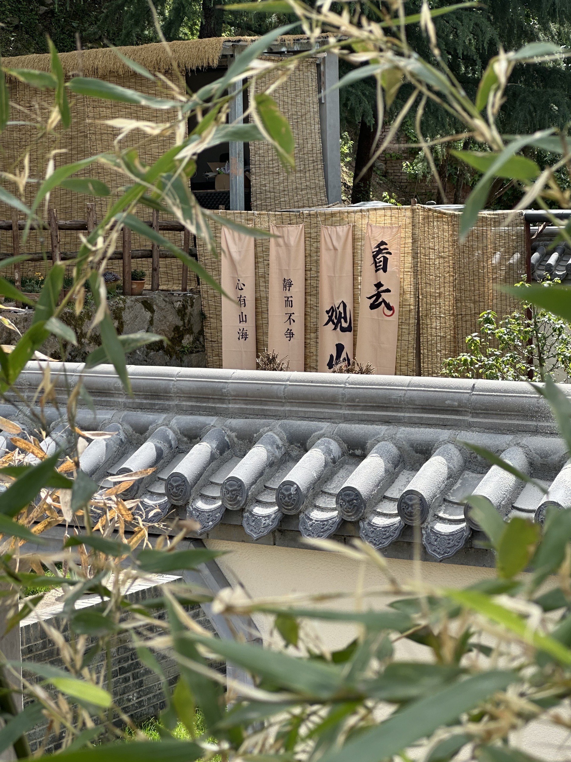 csv5，csv5极限版下载