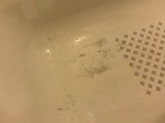 -曼谷湄南河畔华美达广场酒店