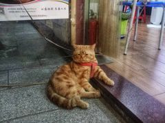 -西关84·History·Art·Cafe