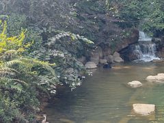 -广州市帽峰山景区