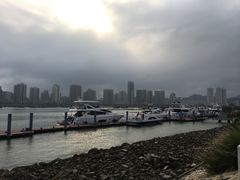 -野狸岛