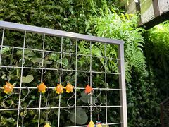 -外婆家(杭州马塍店·杭帮菜名店)