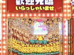-天天玩X秋葉原日系动漫游戏中心