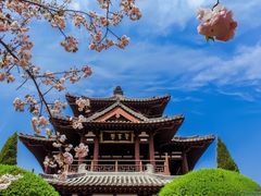 -西安青龙寺遗址景区
