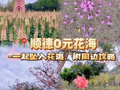 -顺峰山公园