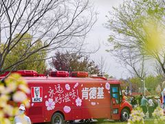 -苏州上方山国家森林公园