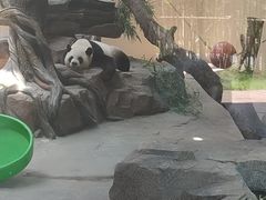 -宁波野生动物园