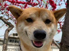 -宠颐生中康贝怡动物医院
