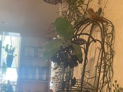 -咖啡人·融合餐厅(万达环宇店)
