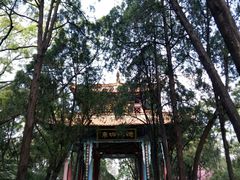 -昆明动物园