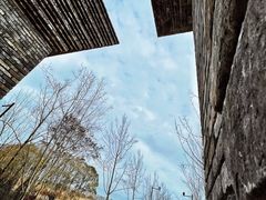 -广富林郊野公园