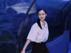 -左海海底世界