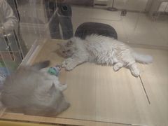 -丽达购物中心(崂山店)