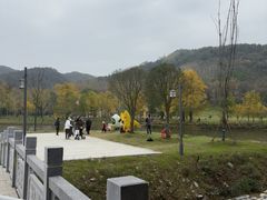 -千年银杏谷文化旅游区