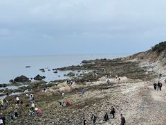 -养马岛旅游度假区