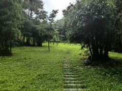 -三水森林公园