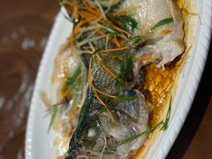 -董府·古宅餐厅