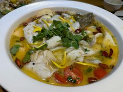 -花溪雨·森林餐厅(石基店)