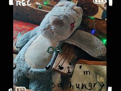 -Africafe(非洲咖啡)