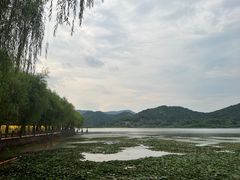 -鸣鹤古镇