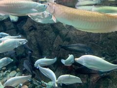 -成都浩海立方海洋公园