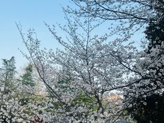 -堤角公园