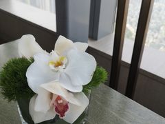 -悦厅·下午茶(杭州柏悦酒店)