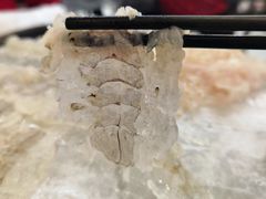 -官塘鱻鱻鱼生
