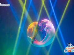 -芜湖新华联大白鲸海洋公园