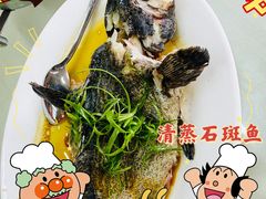 -双月饭店·20年老字号(新村店)